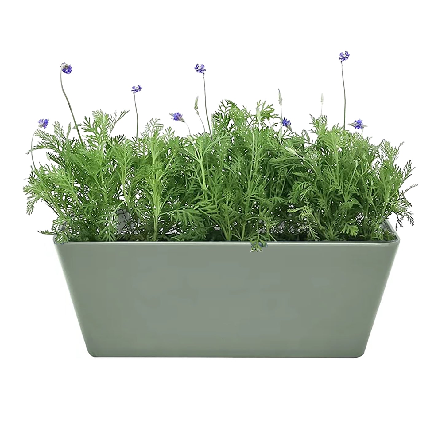 16" Rectangular Self-Watering Bamboo Planter - Sage Green