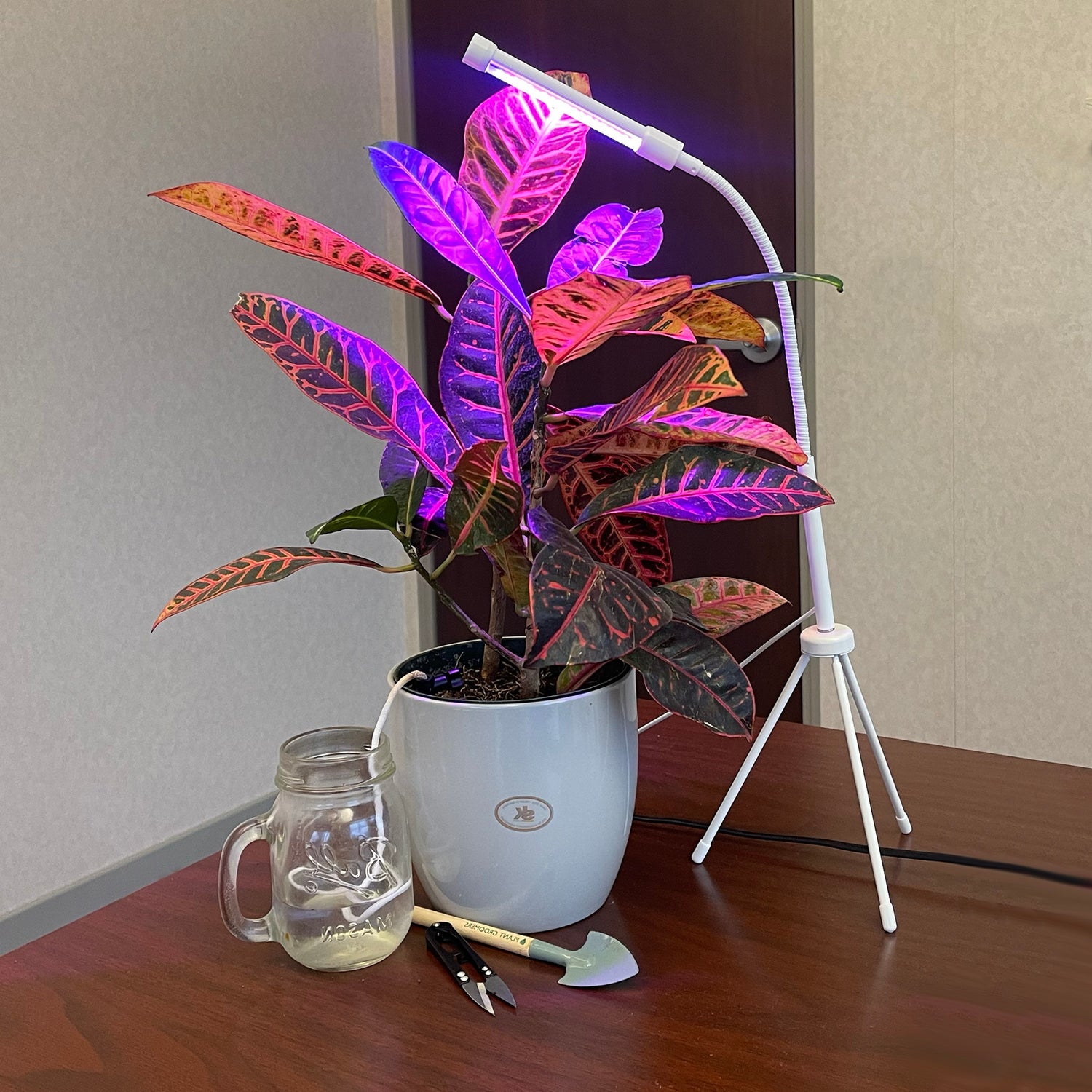 Plant Grow Kit