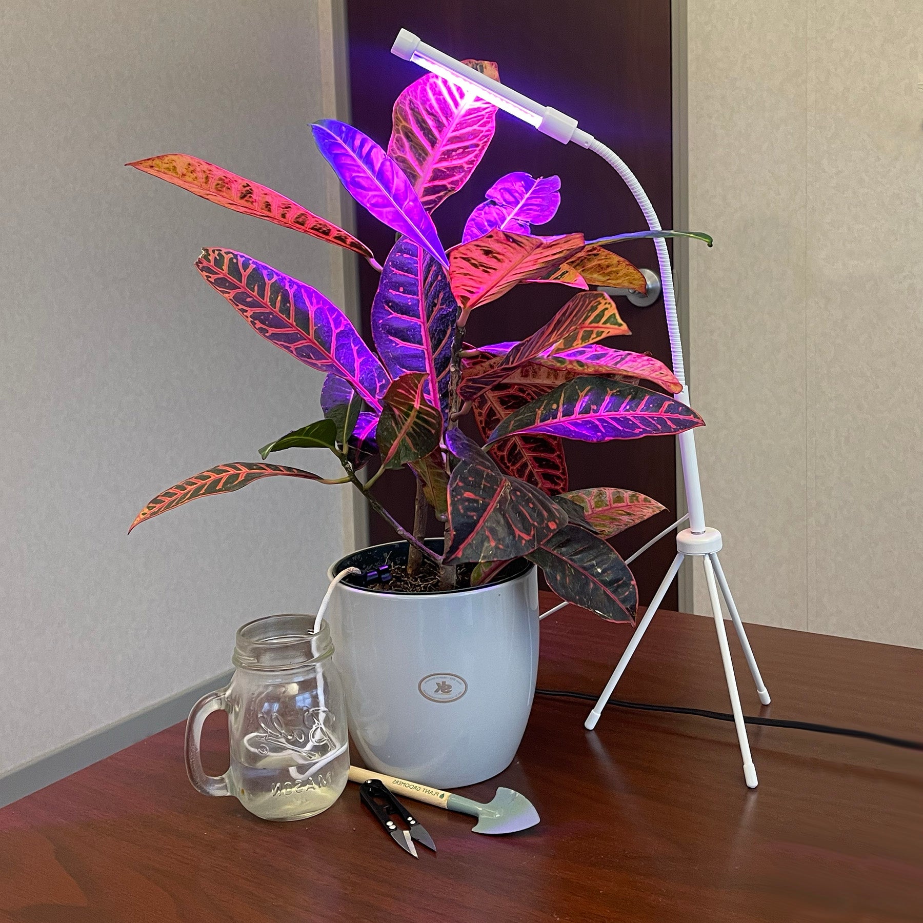 Plant Grow Kit