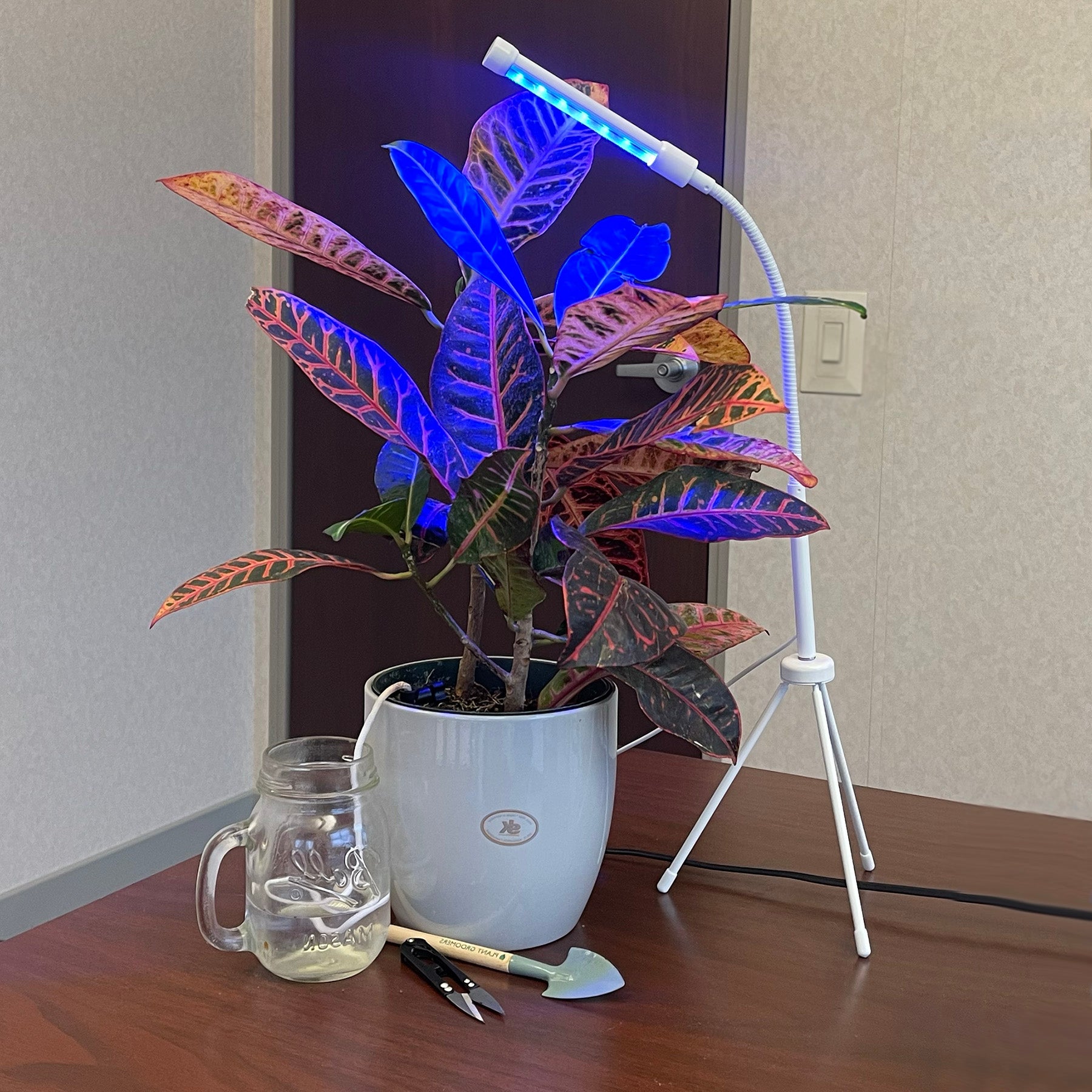 Plant Grow Kit