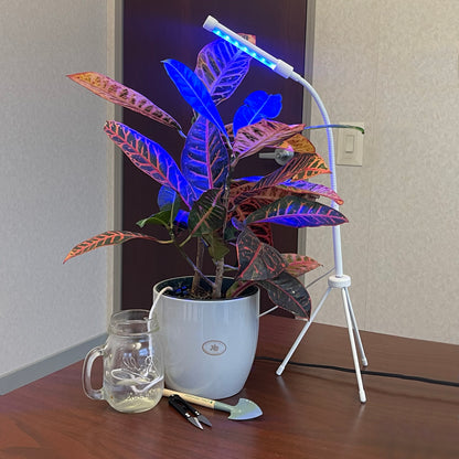 Plant Grow Kit