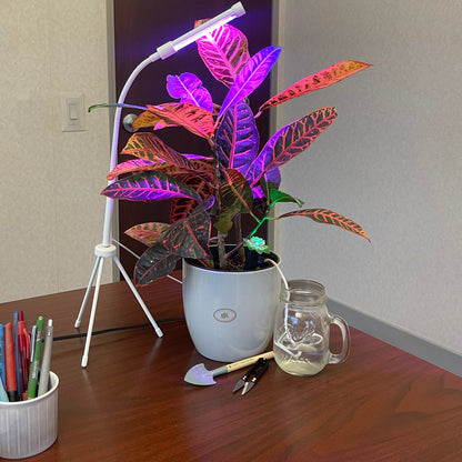 Plant Alarm -  Deluxe 5 piece Kit