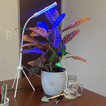 Plant Alarm -  Deluxe 5 piece Kit