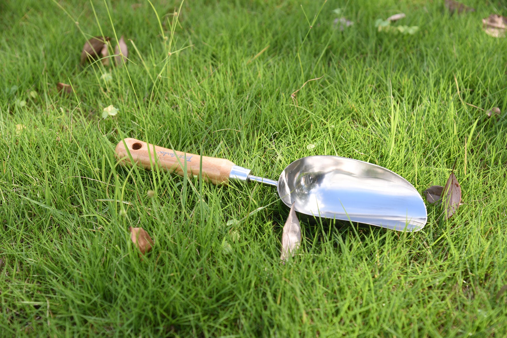 Tidy Tray - Green with Stainless Steel Transplanter and Scoop