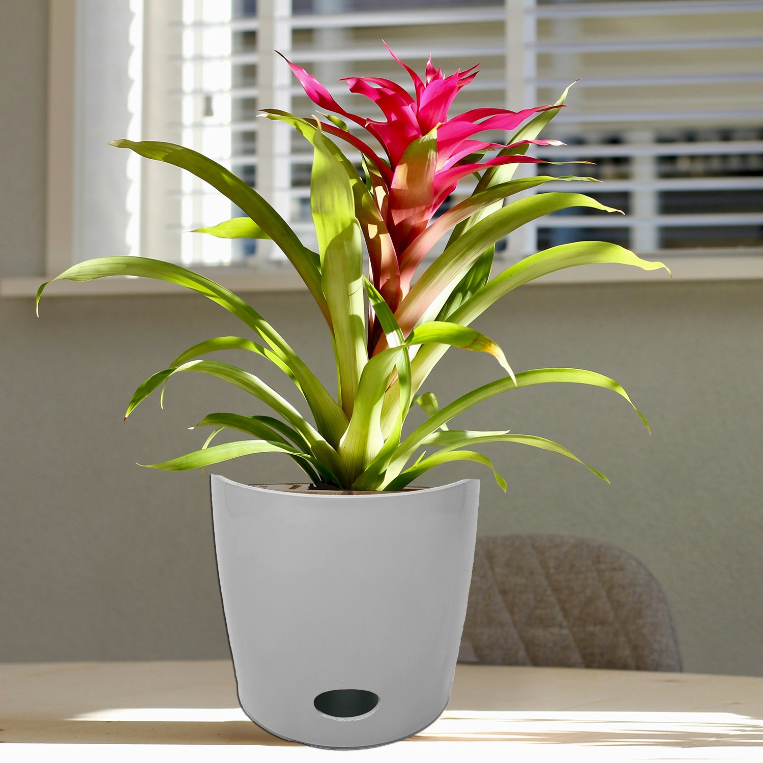 7" Round Self-Watering Bamboo Pot - Gray