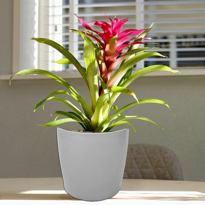 7" Round Self-Watering Bamboo Pot - Gray