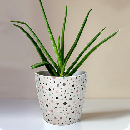 7" Round Self-Watering Bamboo Pot - Dots