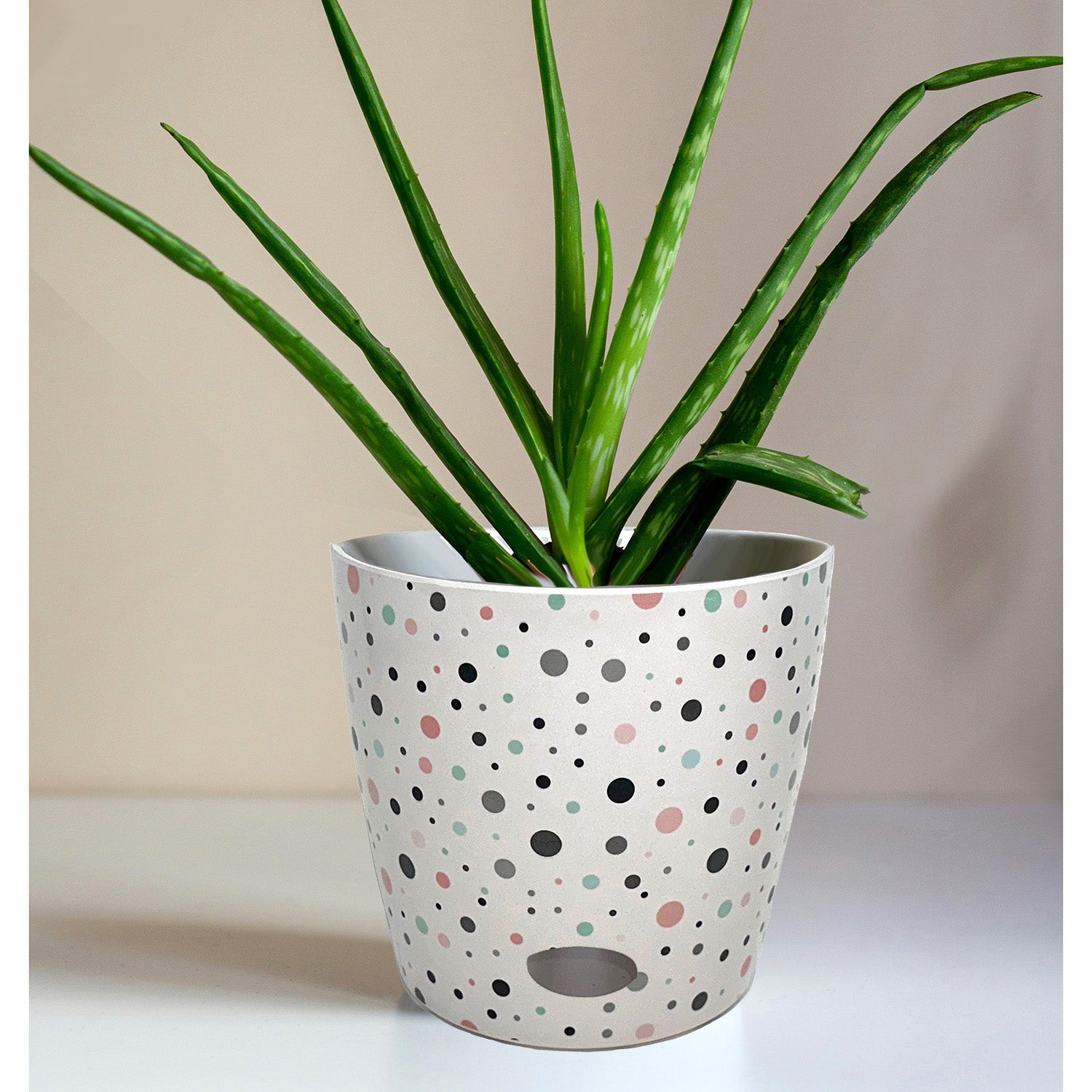7" Round Self-Watering Bamboo Pot - Dots