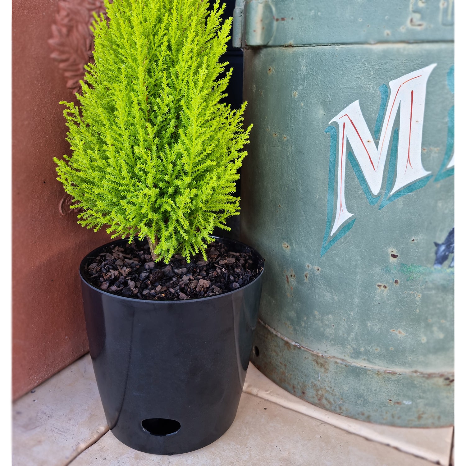 7" Round Self-Watering Bamboo Pot - Black