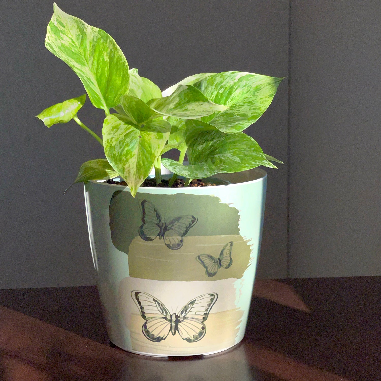 7" Round Self-Watering Bamboo Pot - Butterfly