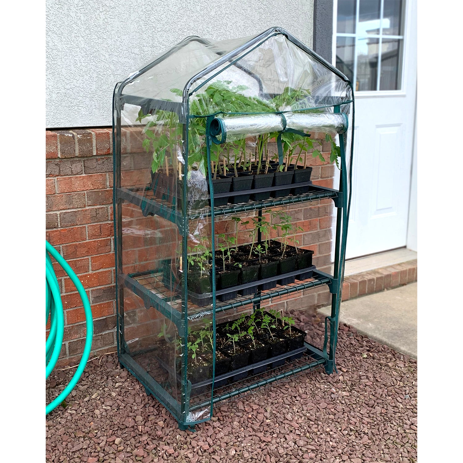 3 Shelf Greenhouse
