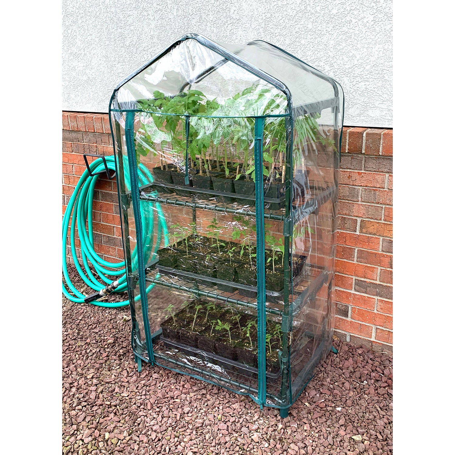 3 Shelf Greenhouse