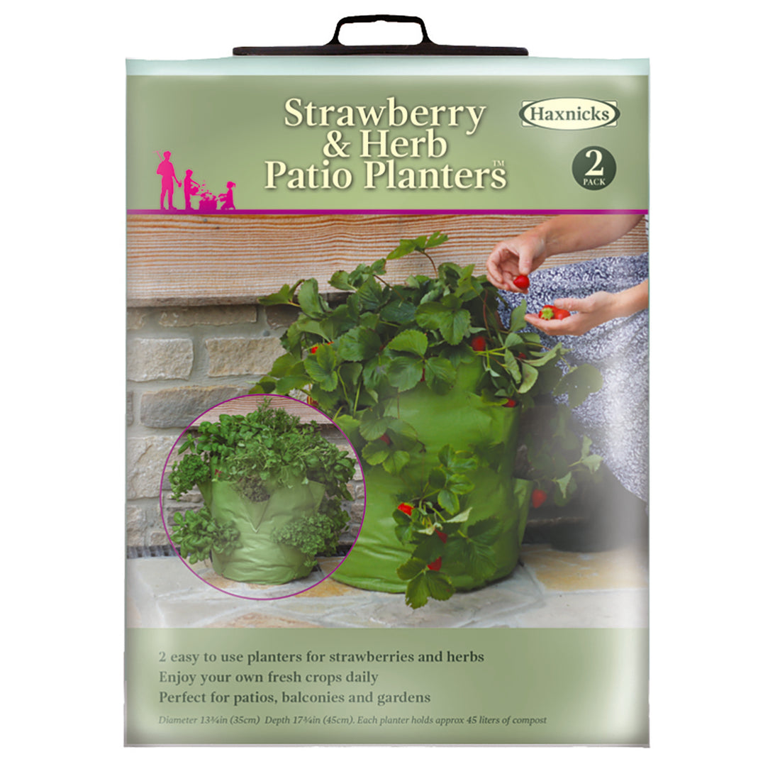 Strawberry & Herb Patio Planter (2 pack)