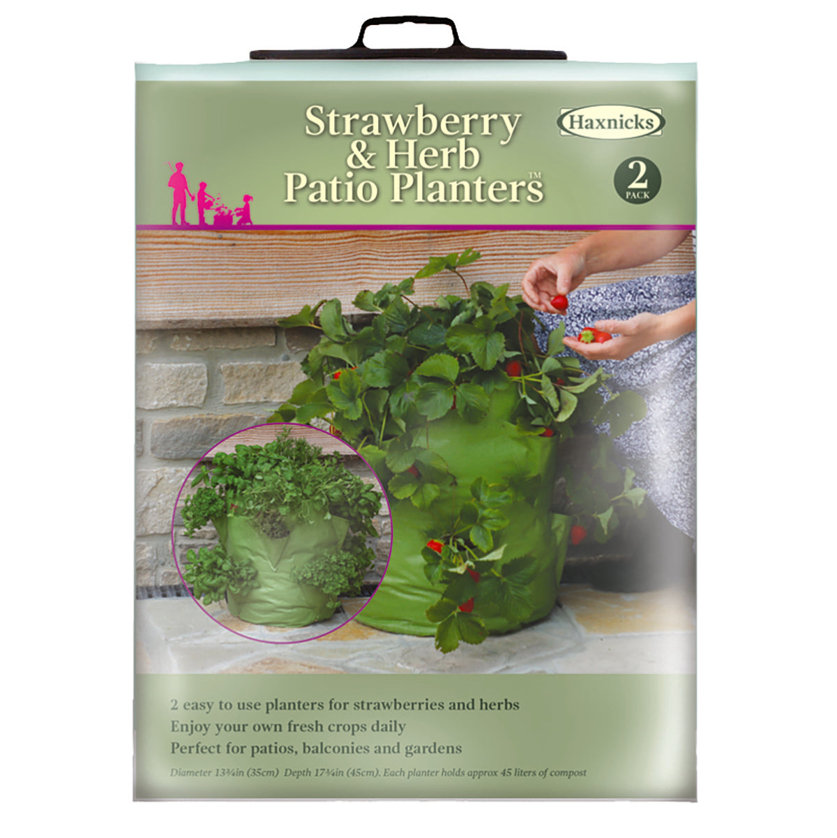 Strawberry &amp; Herb Patio Planter (2 pack)