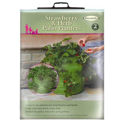 Strawberry &amp; Herb Patio Planter (2 pack)