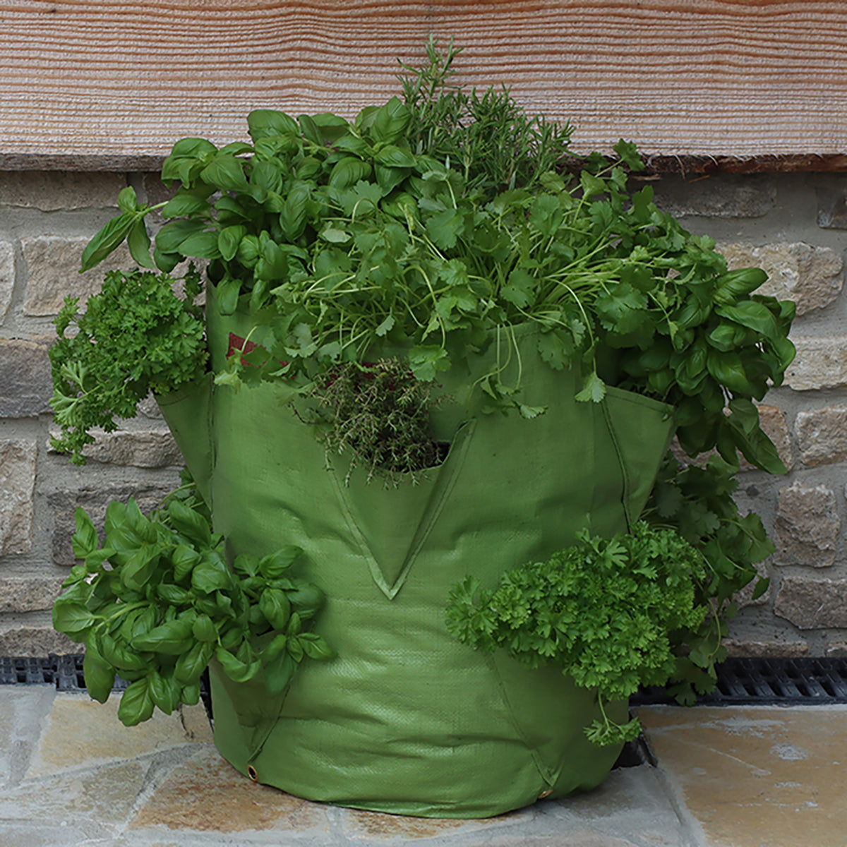 Strawberry &amp; Herb Patio Planter (2 pack)