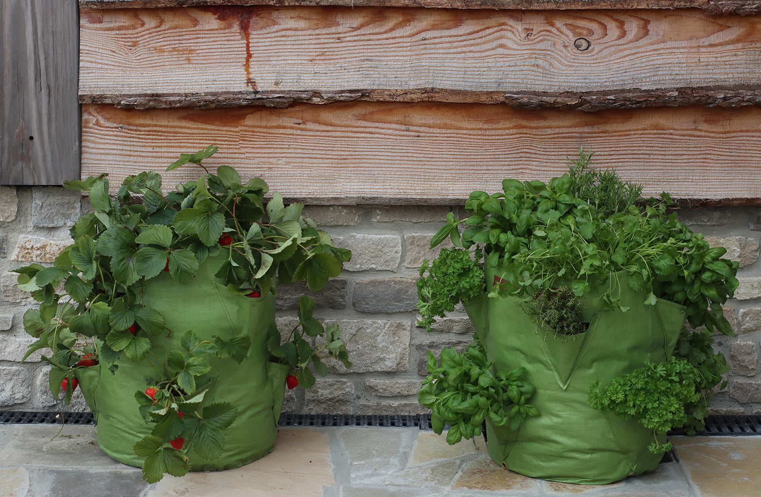 Strawberry &amp; Herb Patio Planter (2 pack)