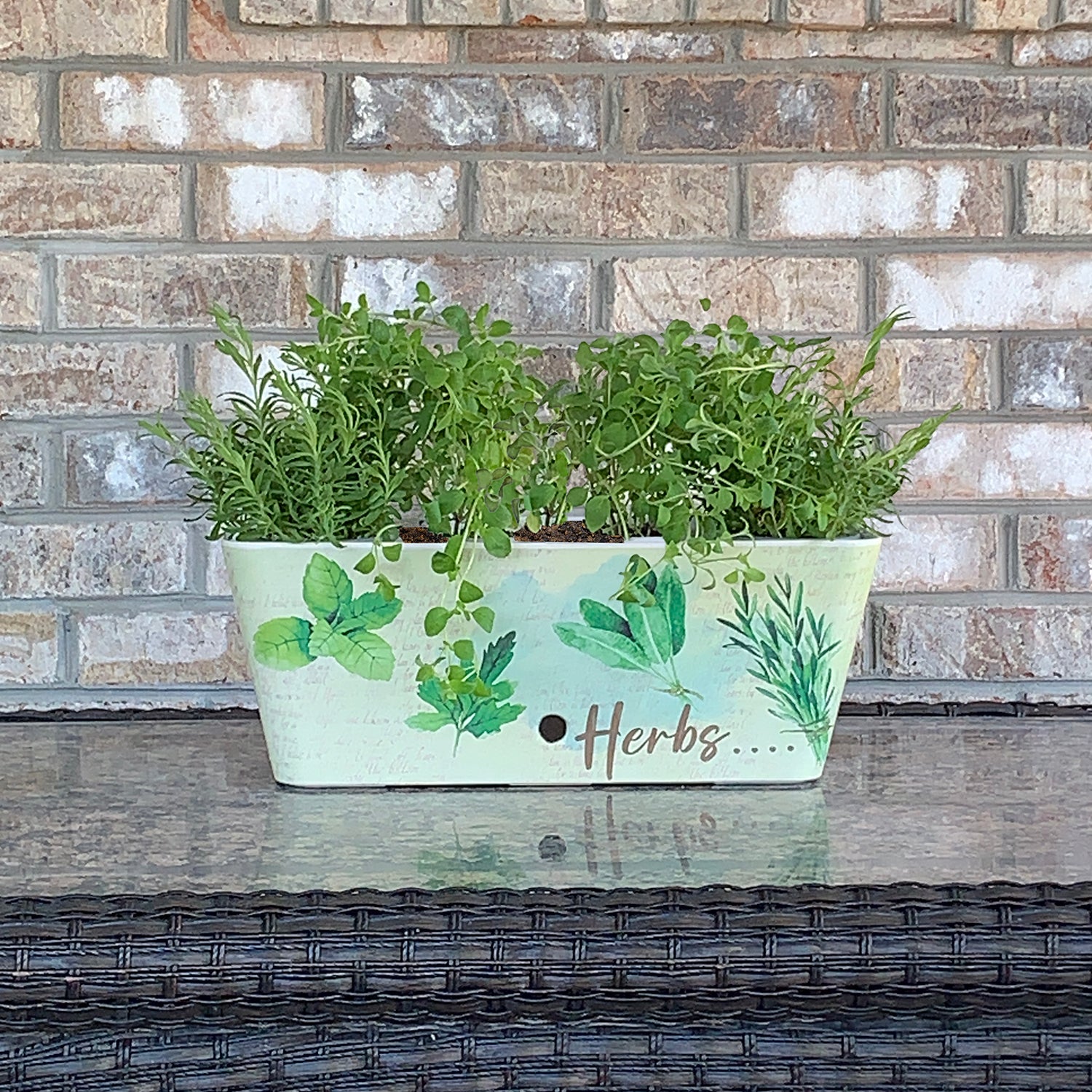 16" Rectangular Self-Watering Bamboo Planter - Herbs