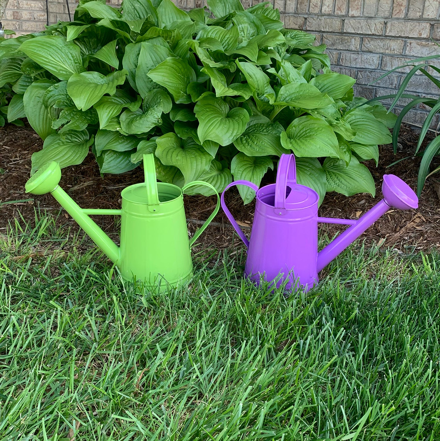 Metal Watering Can - 1.2 gal Violet