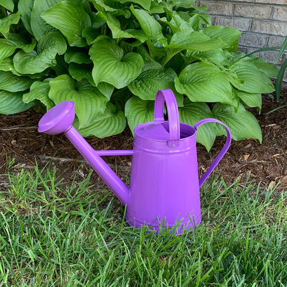 Metal Watering Can - 1.2 gal Violet