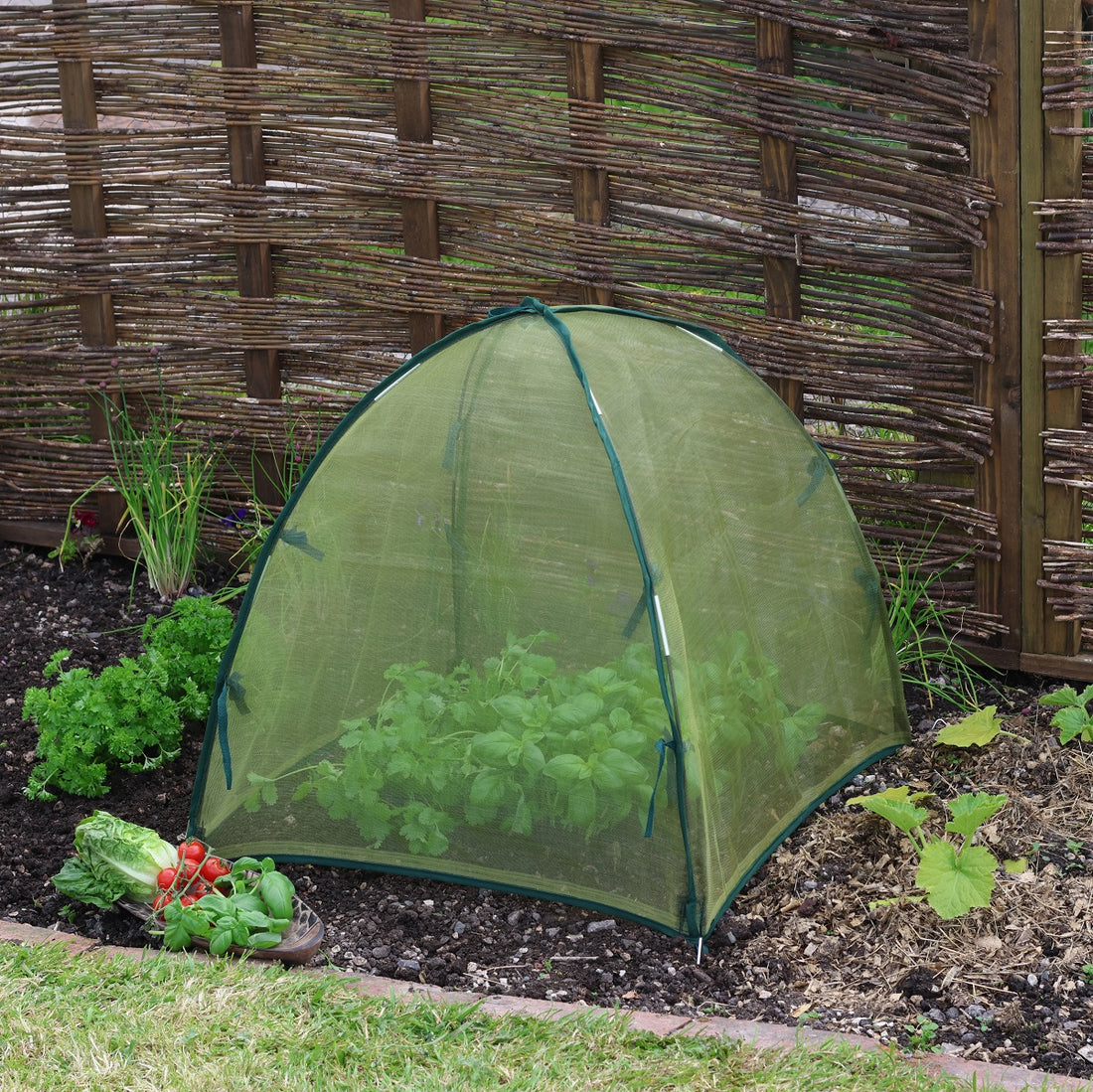 Easy Micromesh Dome - Standard