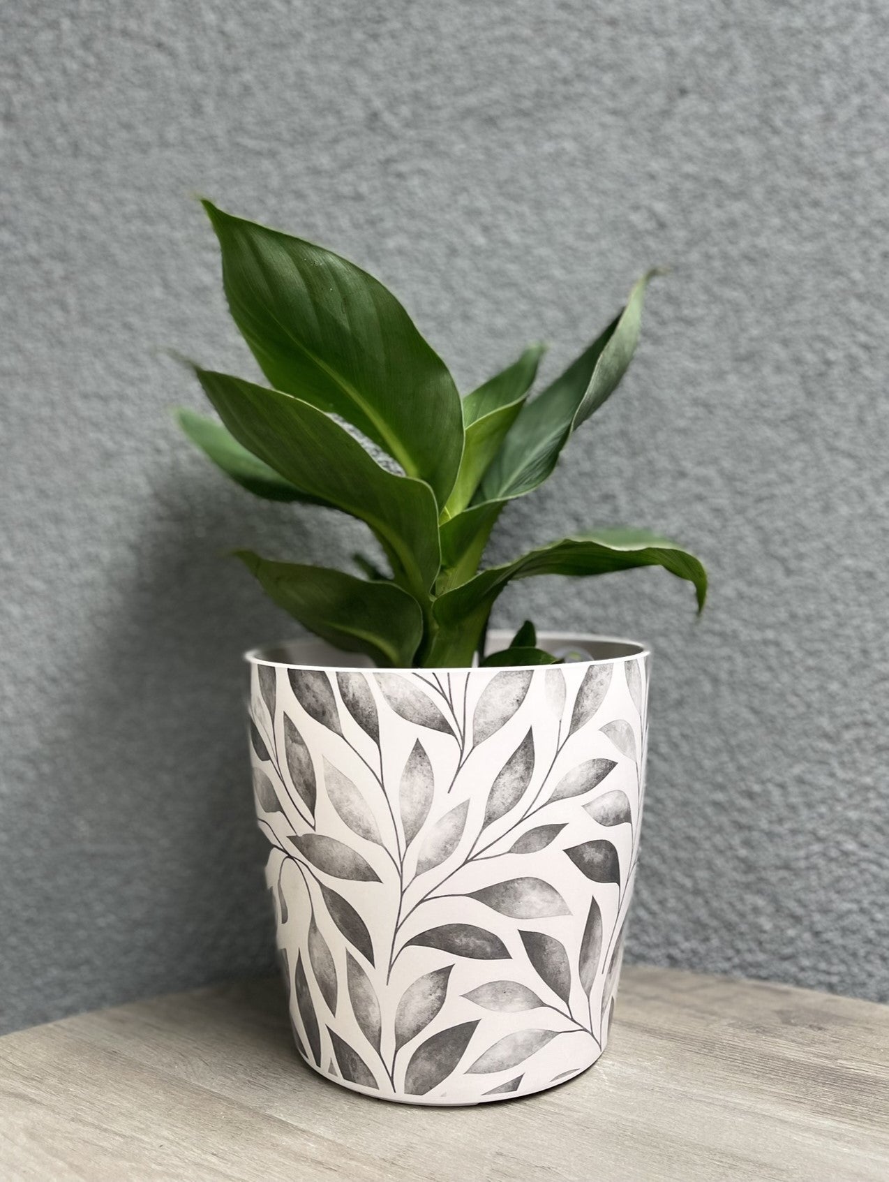 7" Round Self-Watering Bamboo Pot - Gray Leaves