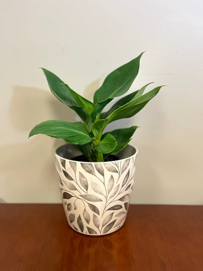 7" Round Self-Watering Bamboo Pot - Gray Leaves