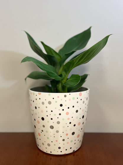 7" Round Self-Watering Bamboo Pot - Dots