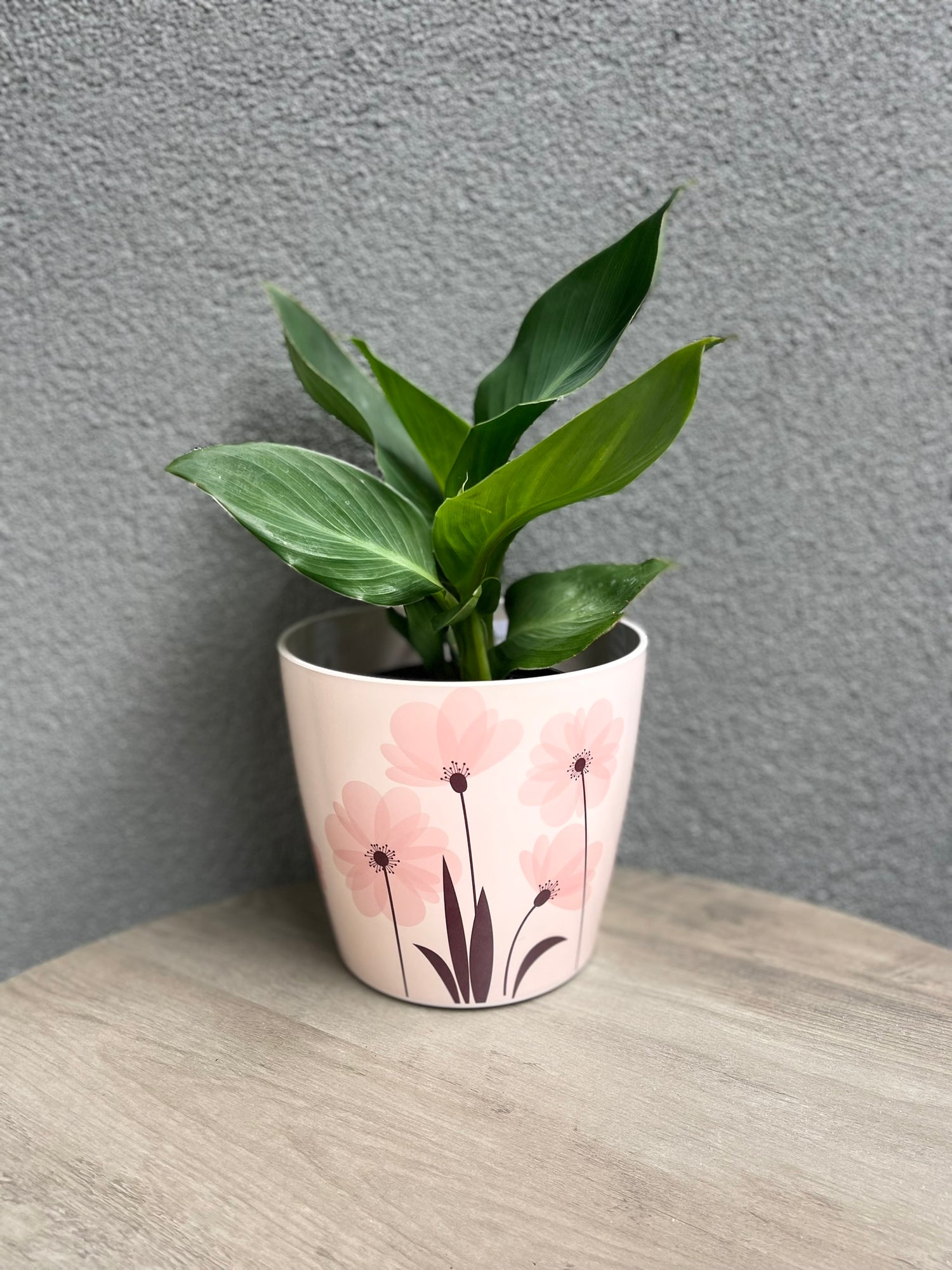7" Round Self-Watering Bamboo Pot - Pink Flower