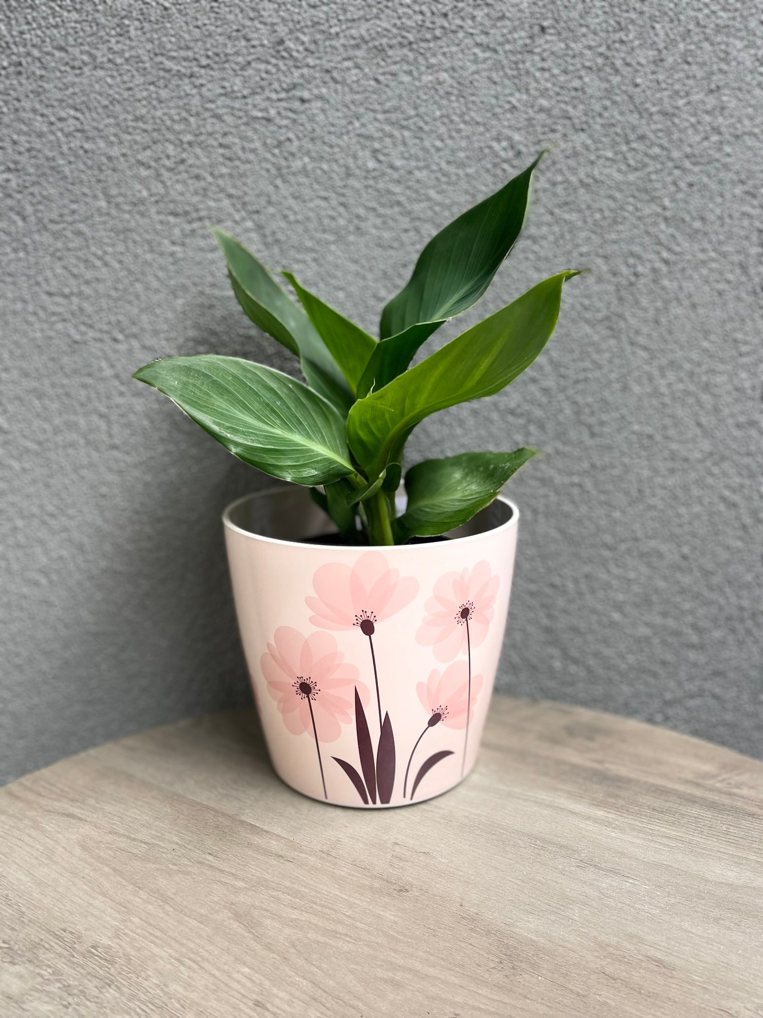 7" Round Self-Watering Bamboo Pot - Pink Flower