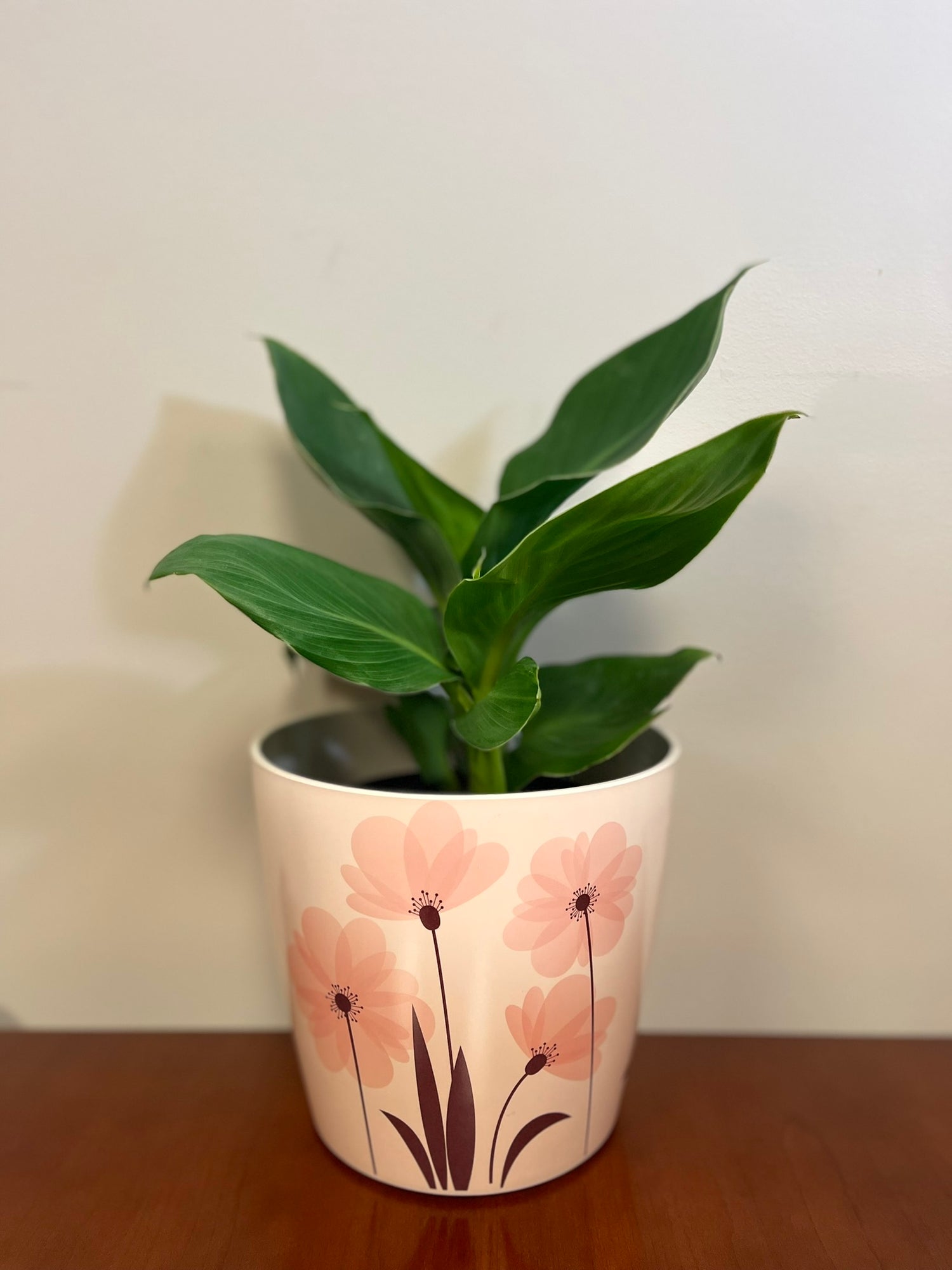 7" Round Self-Watering Bamboo Pot - Pink Flower