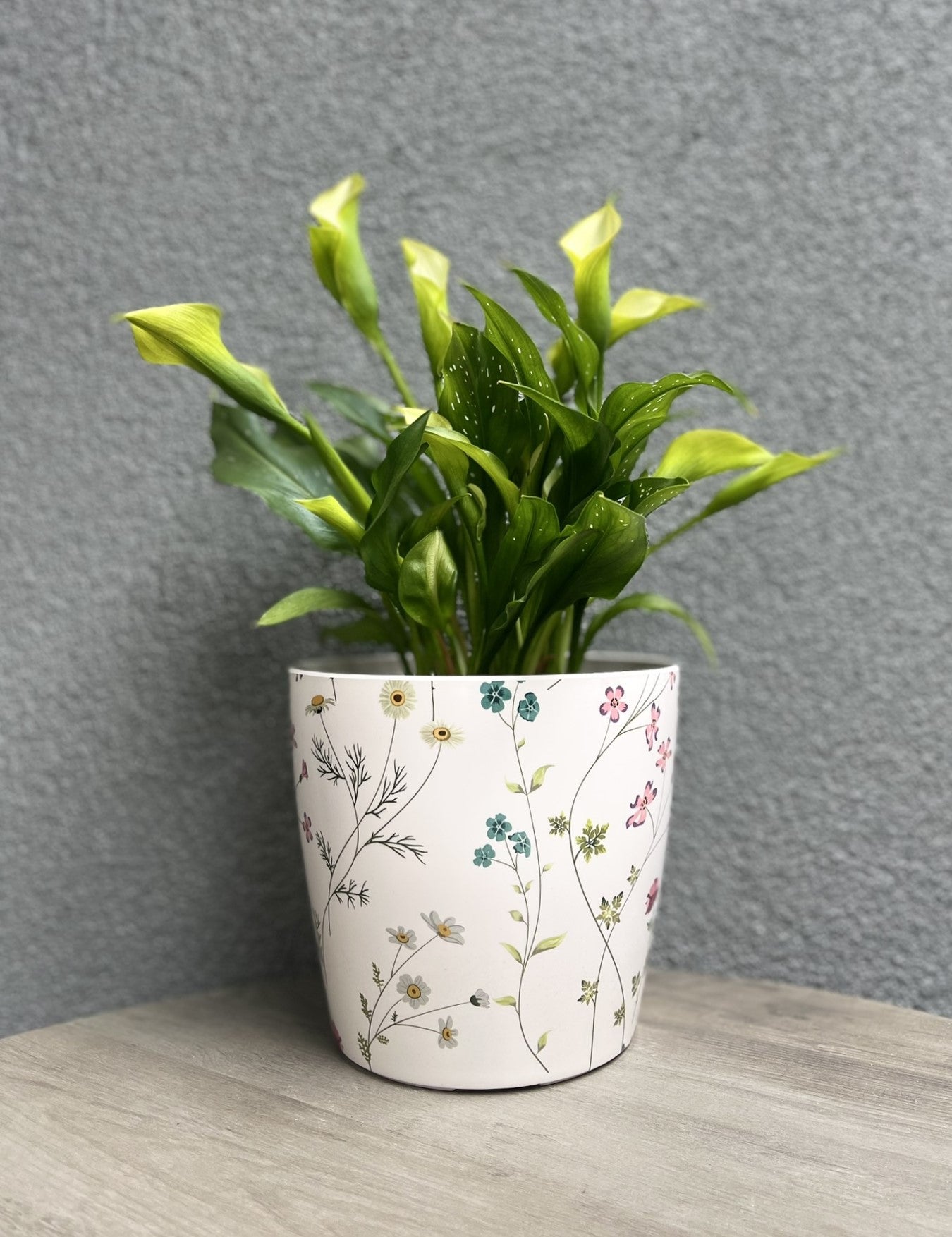 7" Round Self-Watering Bamboo Pot - Wildflower