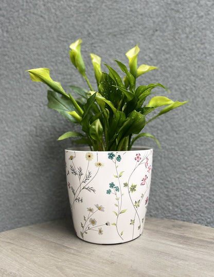 7" Round Self-Watering Bamboo Pot - Wildflower