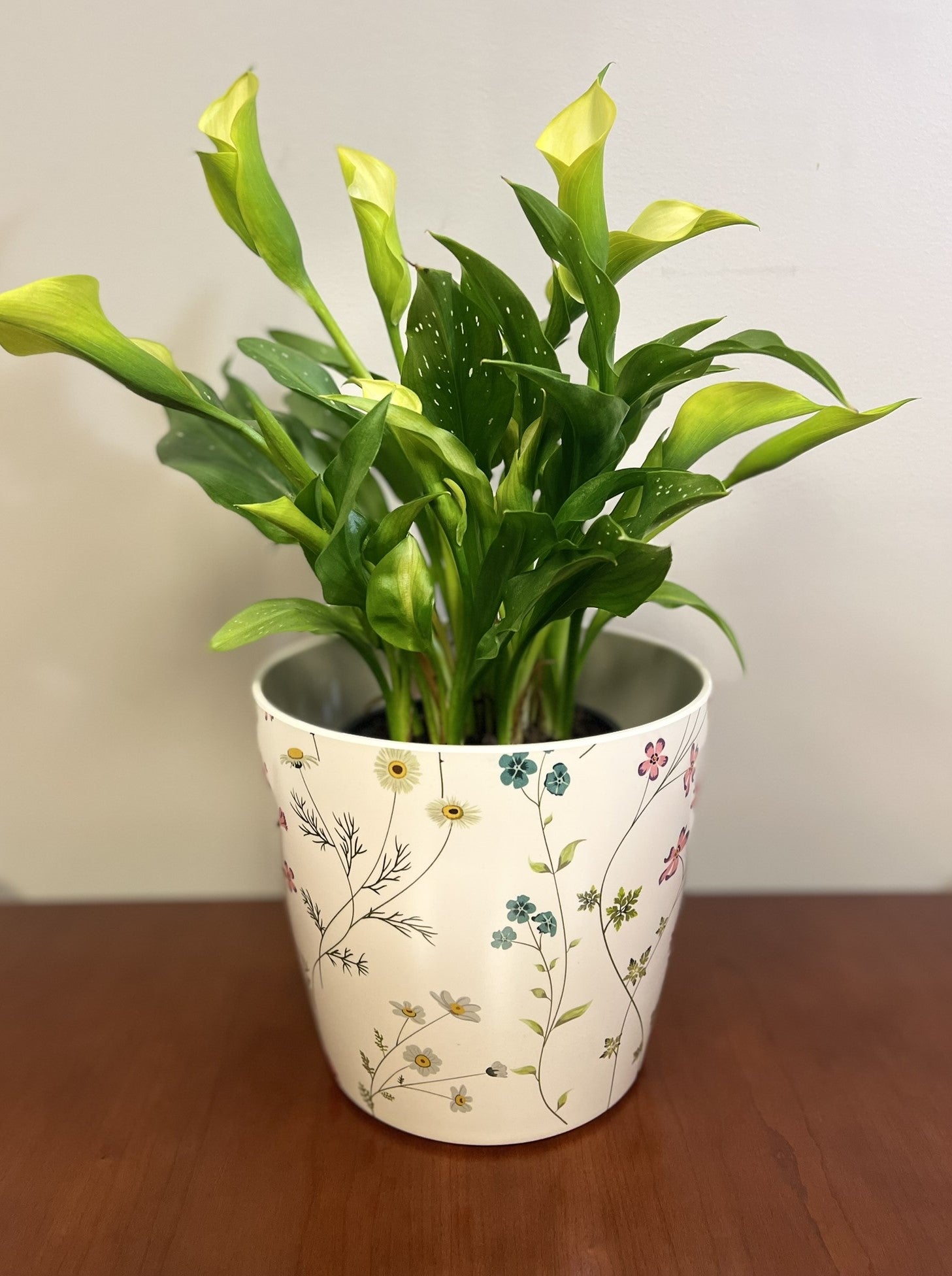 7" Round Self-Watering Bamboo Pot - Wildflower