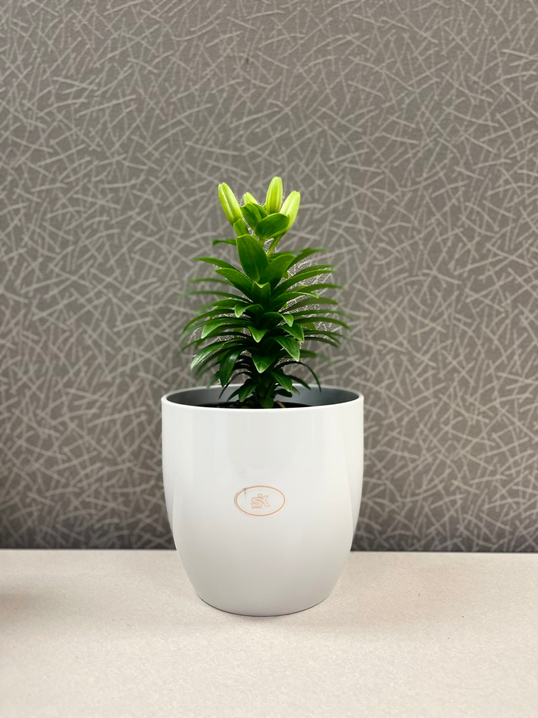 Basel Elegance Ceramic Pot - 6.3" Shiny Light Gray