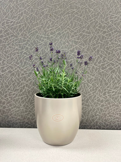 Basel Elegance Ceramic Pot - 6.3" Gray Beige Metallic