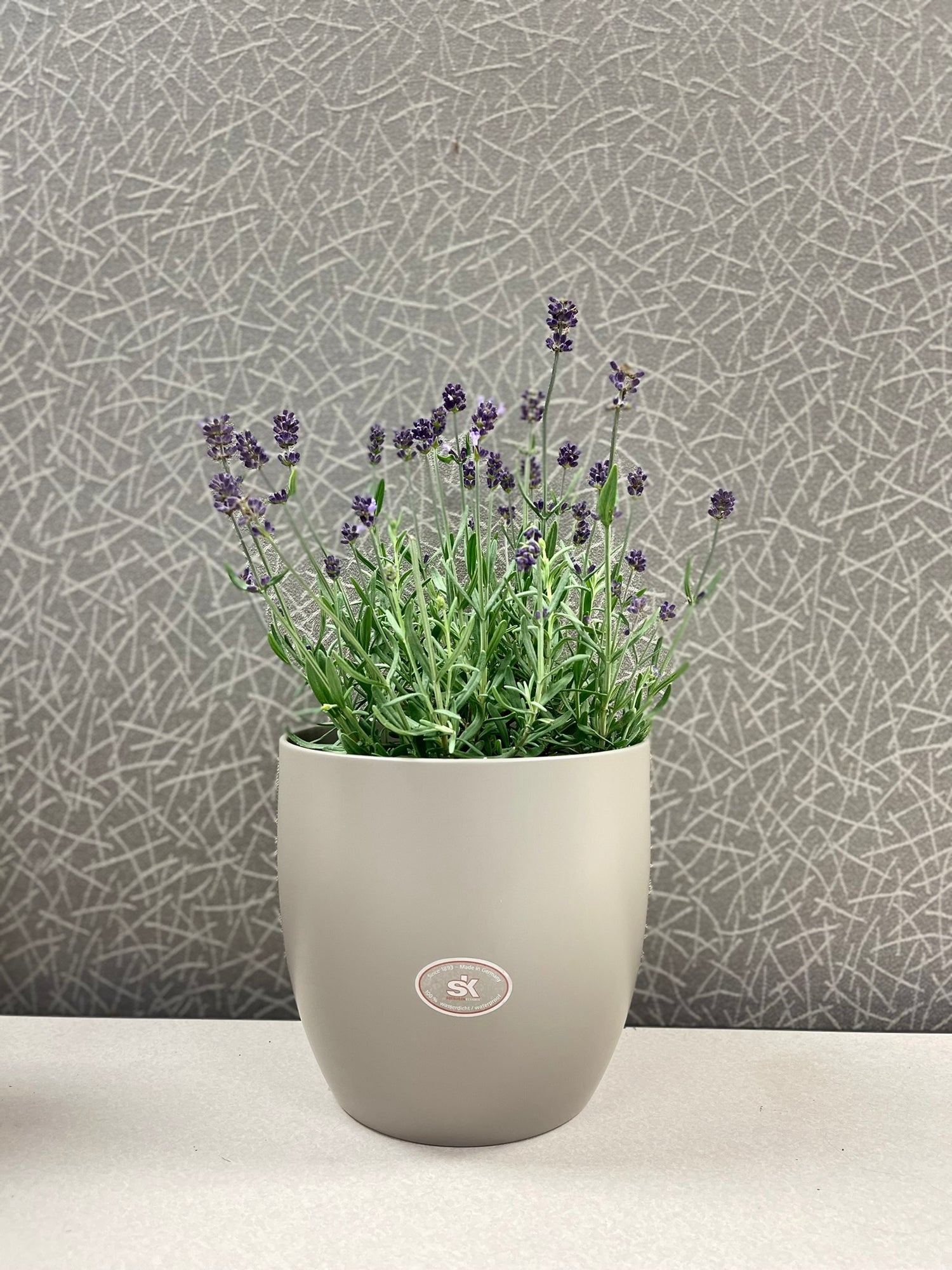 Basel Fashion Ceramic Pot - 6.3" Matte Light Gray