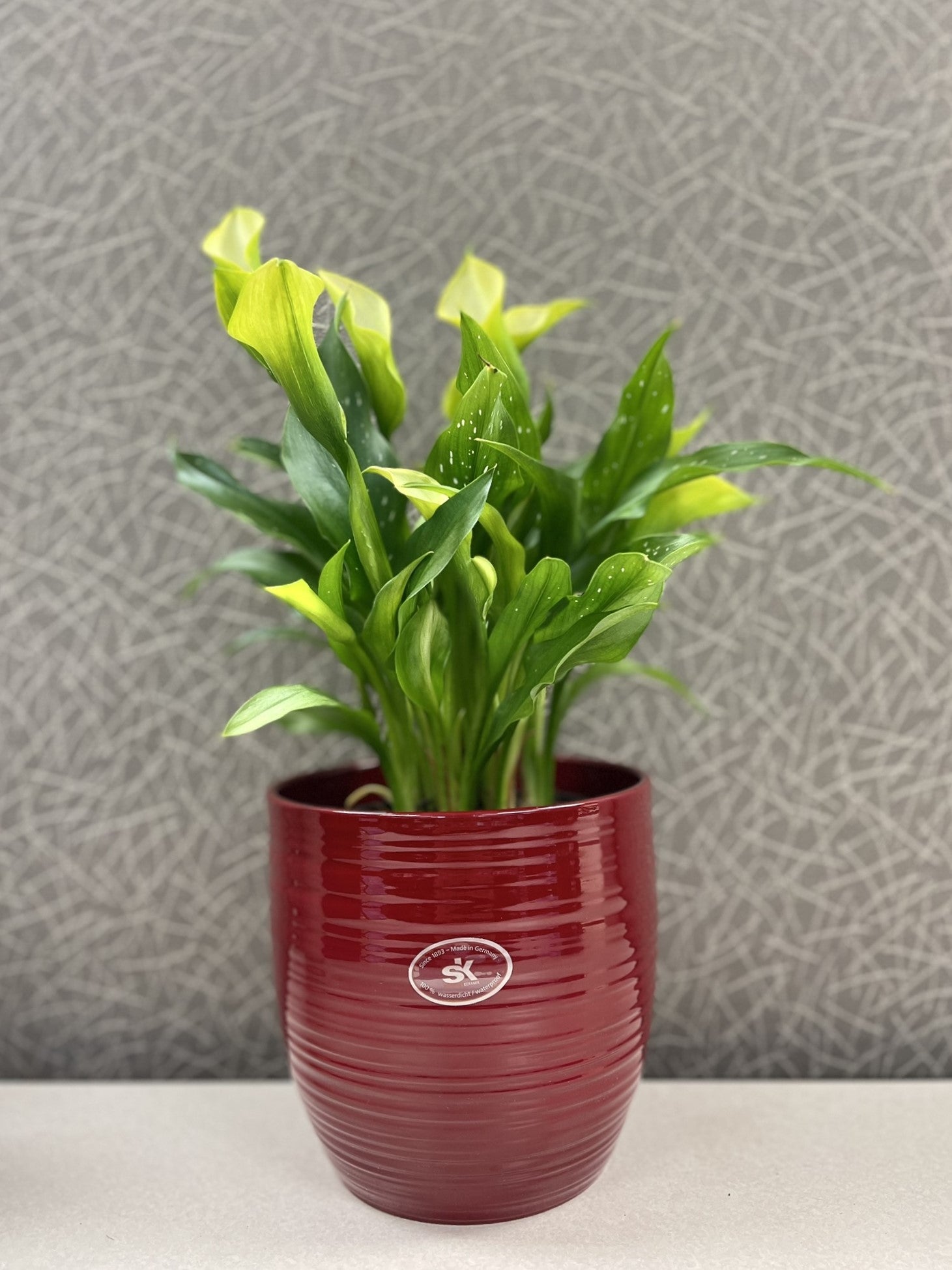 Bergamo Ceramic Pot - 6.3" Red