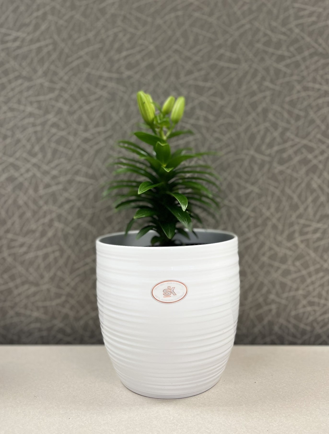 Bergamo Ceramic Pot - 6.3" White