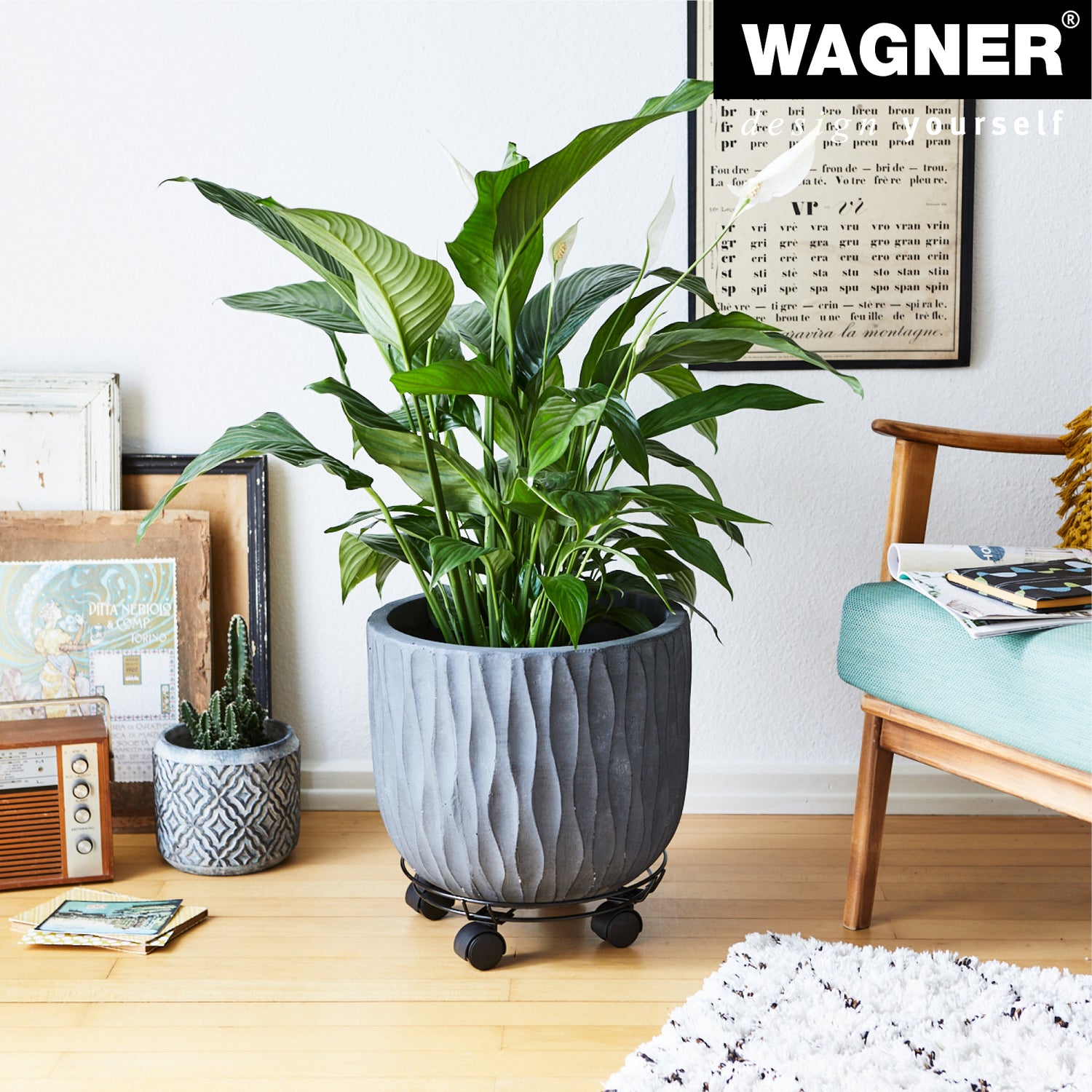 Wire Plant Caddy - 11.8" Black Round