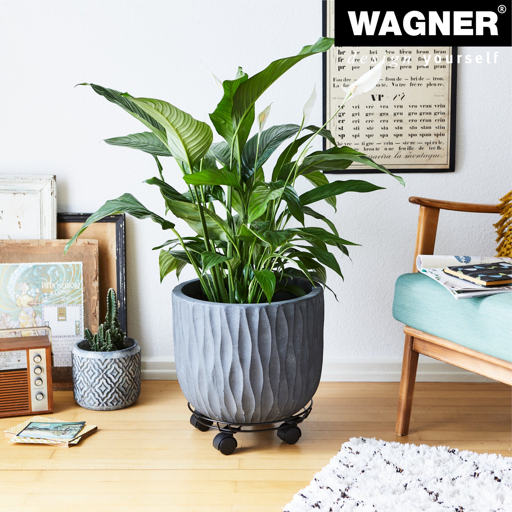 Wire Plant Caddy - 11.8" Black Round