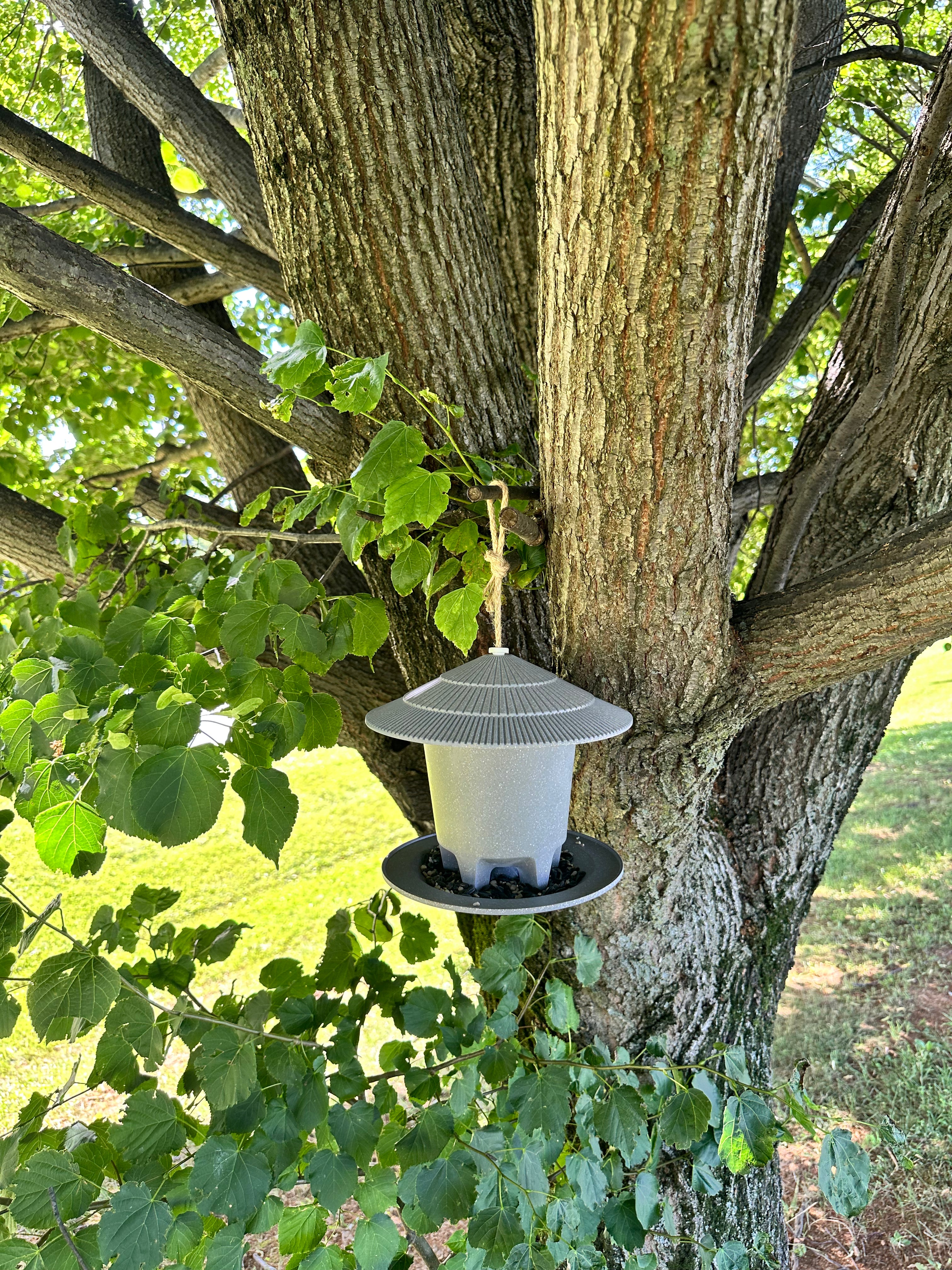 Deluxe Round Bird Feeder - Straw