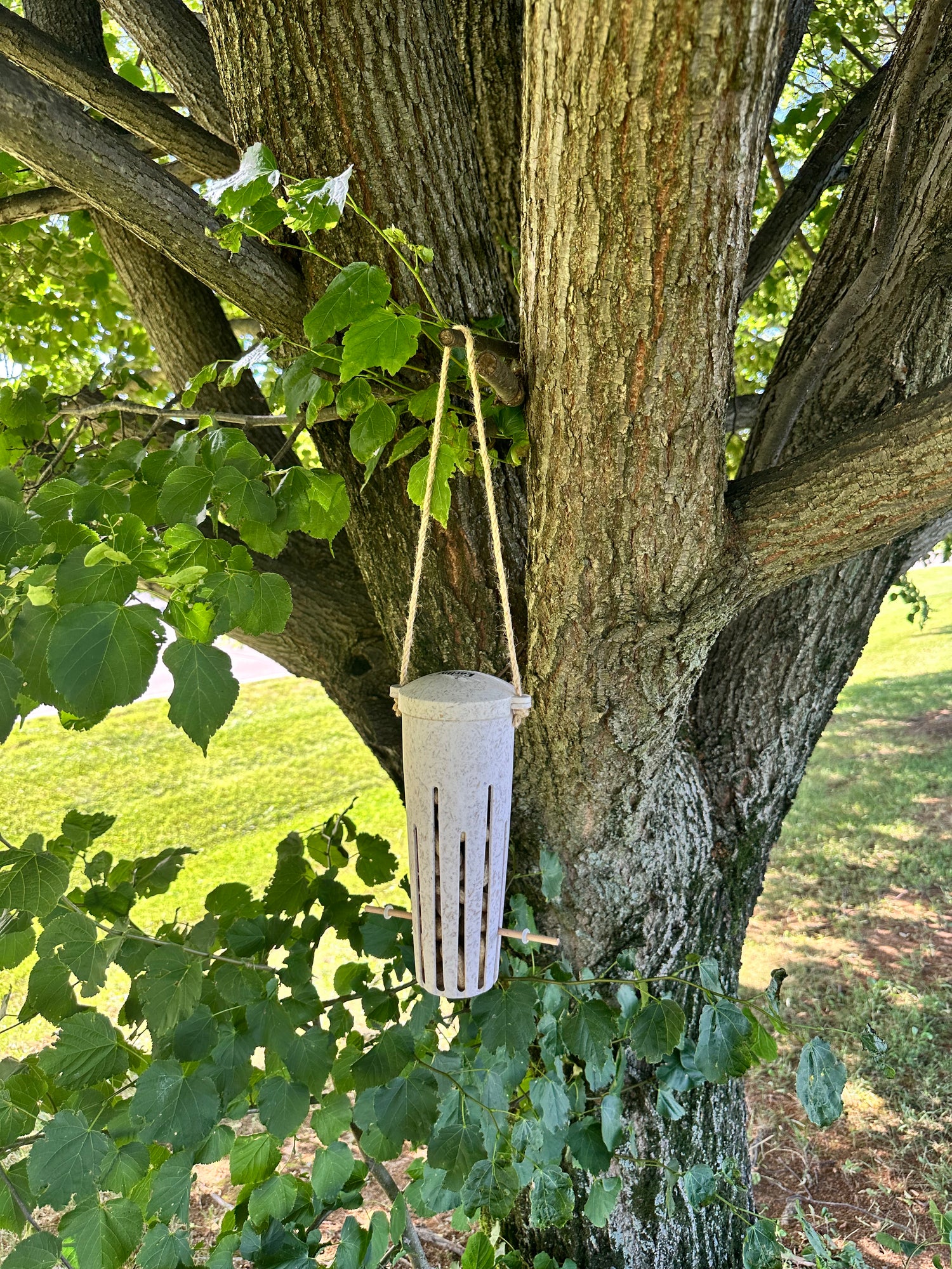 Peanut Feeder - Chaff