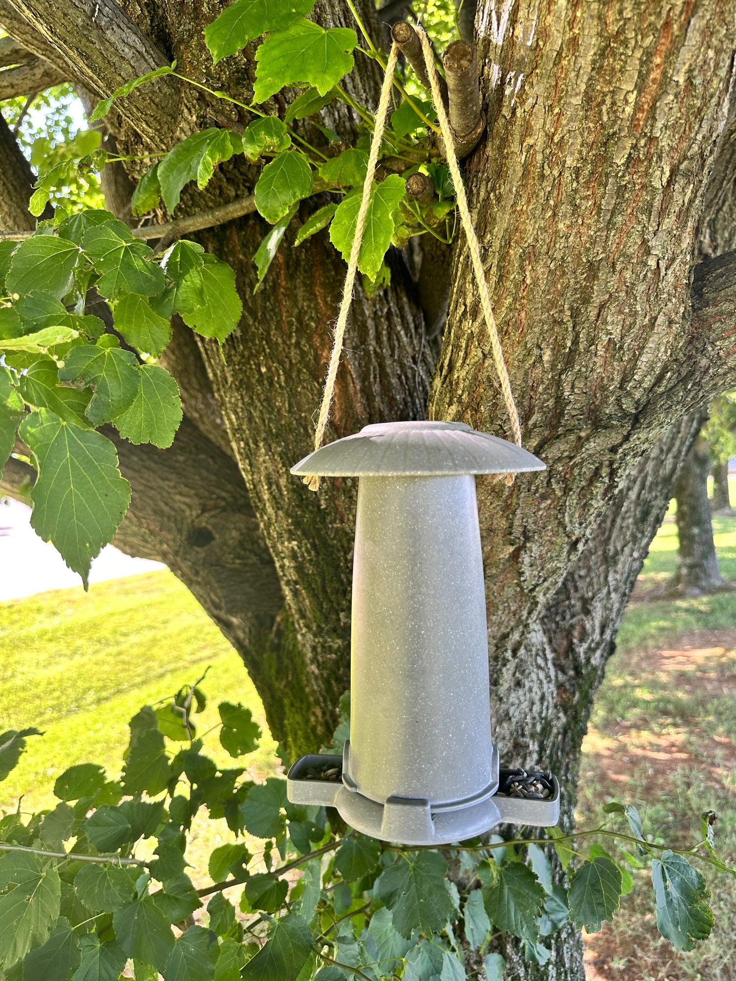 Seed Feeder - Straw