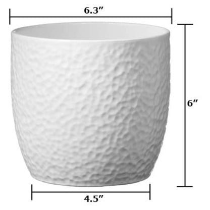 Boston Ceramic Pot - 6.3" White