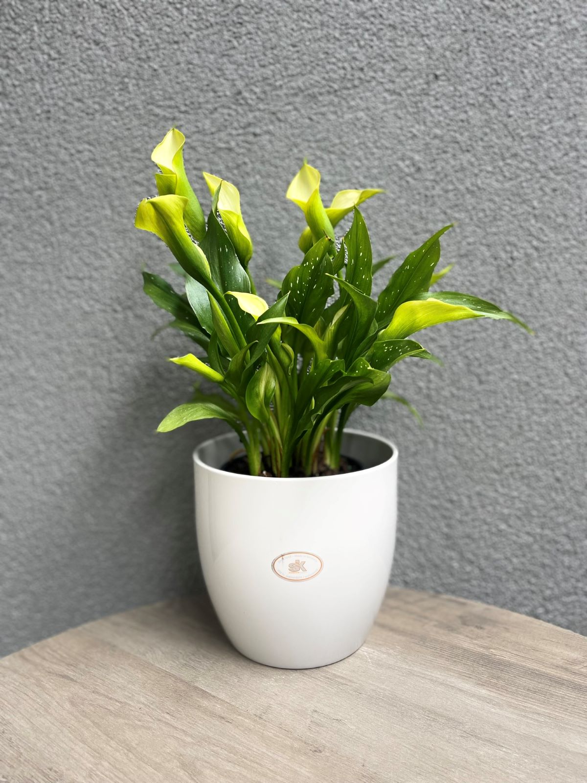 Basel Elegance Ceramic Pot - 6.3" Shiny Light Gray