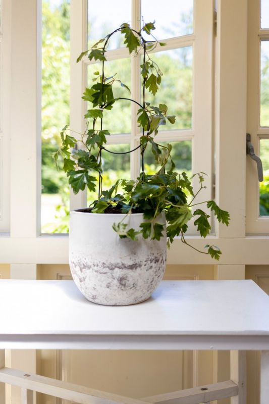 Pot Trellis Stake - Deco M