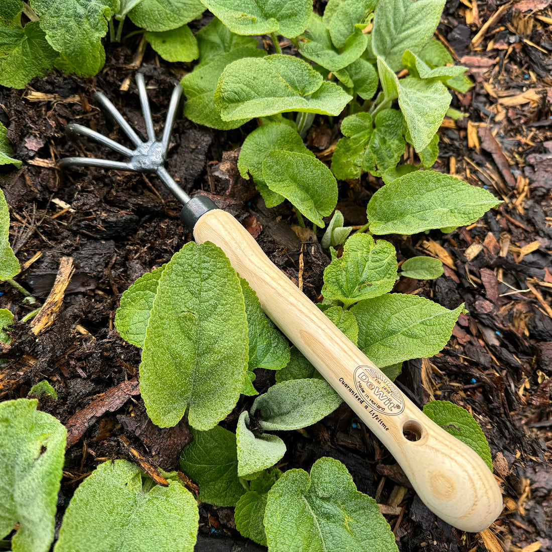 DeWit Cultivator - 5-Tine with 10" Handgrip