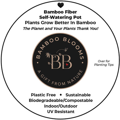 Self-Watering Bamboo Pot - 10&quot; Sage Round