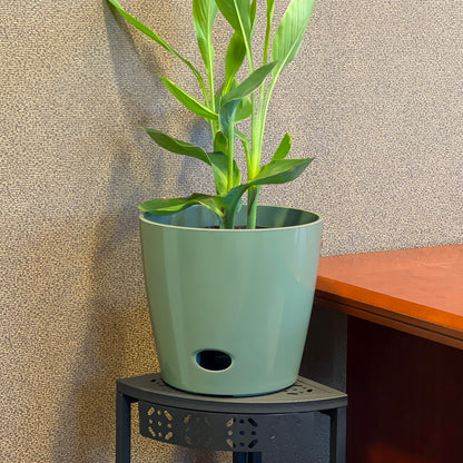 Self-Watering Bamboo Pot - 10&quot; Sage Round